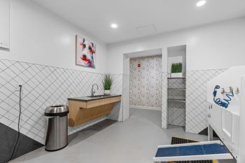 Pet wash station